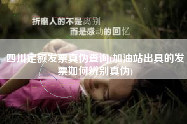 详细阅读:四川定额发票真伪查询(加油站出具的发票如何辨别真伪) 四川定额发票真伪查询(加油站出具的发票如何辨别真伪)