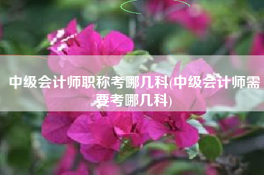 详细阅读:中级会计师职称考哪几科(中级会计师需要考哪几科) 中级会计师职称考哪几科(中级会计师需要考哪几科)