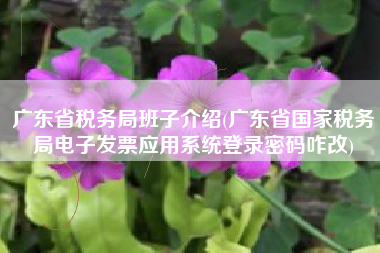 详细阅读:广东省税务局班子介绍(广东省国家税务局电子发票应用系统登录密码咋改) 广东省税务局班子介绍(广东省国家税务局电子发票应用系统登录密码咋改)