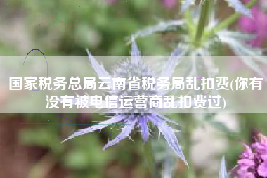 详细阅读:国家税务总局云南省税务局乱扣费(你有没有被电信运营商乱扣费过) 国家税务总局云南省税务局乱扣费(你有没有被电信运营商乱扣费过)