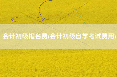 详细阅读:会计初级报名费(会计初级自学考试费用) 会计初级报名费(会计初级自学考试费用)