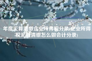 详细阅读:年度汇算清缴企业所得税分录(企业所得税汇算清缴怎么做会计分录) 年度汇算清缴企业所得税分录(企业所得税汇算清缴怎么做会计分录)