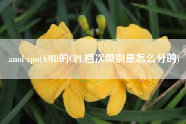 详细阅读:amd cpu(AMD的CPU档次级别是怎么分的) amd cpu(AMD的CPU档次级别是怎么分的)