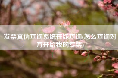 发票真伪查询系统在线查询(怎么查询对方开给我的专票)