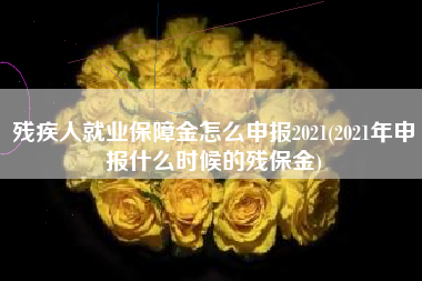 残疾人就业保障金怎么申报2021(2021年申报什么时候的残保金)