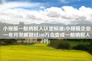 小规模一般纳税人认定标准(小规模企业一年开发票超过100万会变成一般纳税人吗)