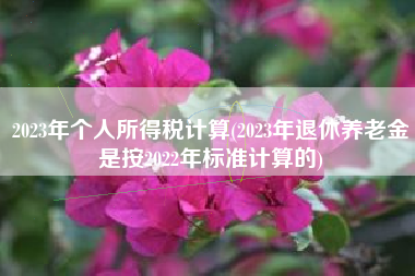 2023年个人所得税计算(2023年退休养老金是按2022年标准计算的)