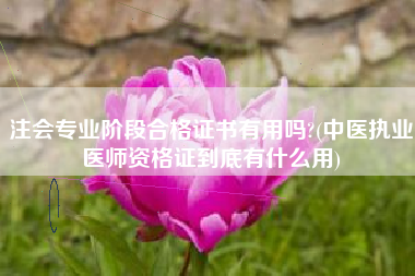 注会专业阶段合格证书有用吗?(中医执业医师资格证到底有什么用)