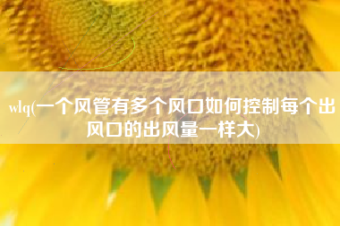 wlq(一个风管有多个风口如何控制每个出风口的出风量一样大)