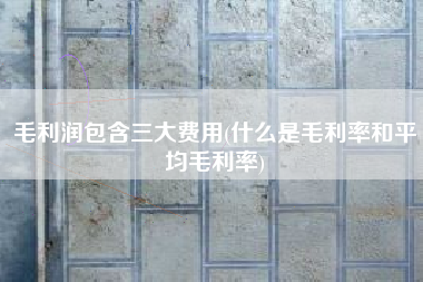 毛利润包含三大费用(什么是毛利率和平均毛利率)