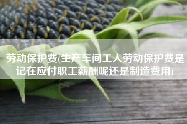 详细阅读:劳动保护费(生产车间工人劳动保护费是记在应付职工薪酬呢还是制造费用) 劳动保护费(生产车间工人劳动保护费是记在应付职工薪酬呢还是制造费用)
