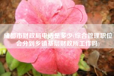 详细阅读:成都市财政局电话是多少(综合管理职位会分到乡镇基层财政所工作吗) 成都市财政局电话是多少(综合管理职位会分到乡镇基层财政所工作吗)