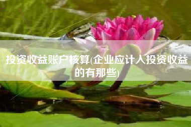 详细阅读:投资收益账户核算(企业应计入投资收益的有那些) 投资收益账户核算(企业应计入投资收益的有那些)