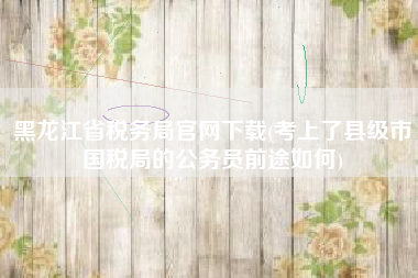 黑龙江省税务局官网下载(考上了县级市国税局的公务员前途如何)