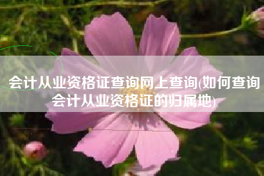 会计从业资格证查询网上查询(如何查询会计从业资格证的归属地)