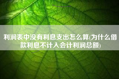 利润表中没有利息支出怎么算(为什么借款利息不计入会计利润总额)