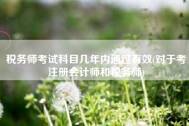税务师考试科目几年内通过有效(对于考注册会计师和税务师)