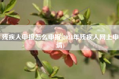 残疾人申报怎么申报(2021年残疾人网上申请)