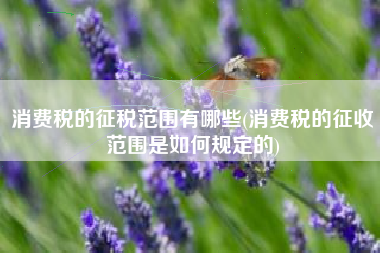 消费税的征税范围有哪些(消费税的征收范围是如何规定的)