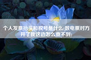 个人发票抬头和税号是什么(数电票对方开了我这边怎么查不到)