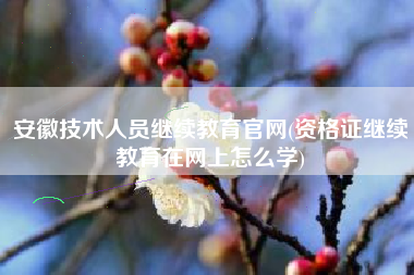 安徽技术人员继续教育官网(资格证继续教育在网上怎么学)