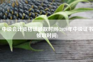 中级会计资格证领取时间(2020年中级证书领取时间)