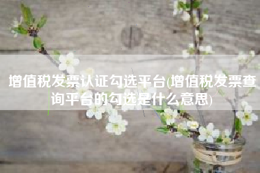 增值税发票认证勾选平台(增值税发票查询平台的勾选是什么意思)