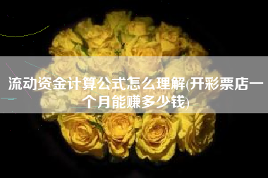 详细阅读:流动资金计算公式怎么理解(开彩票店一个月能赚多少钱) 流动资金计算公式怎么理解(开彩票店一个月能赚多少钱)