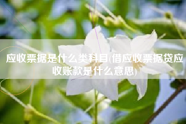 详细阅读:应收票据是什么类科目(借应收票据贷应收账款是什么意思) 应收票据是什么类科目(借应收票据贷应收账款是什么意思)