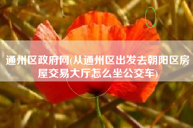 详细阅读:通州区政府网(从通州区出发去朝阳区房屋交易大厅怎么坐公交车) 通州区政府网(从通州区出发去朝阳区房屋交易大厅怎么坐公交车)