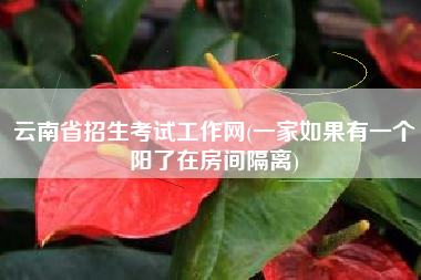 云南省招生考试工作网(一家如果有一个阳了在房间隔离)