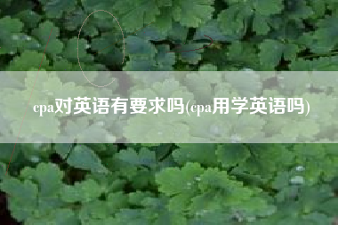 cpa对英语有要求吗(cpa用学英语吗)