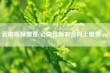 云南医保缴费(云南省新农合网上缴费app)
