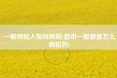 一般纳税人如何纳税(超市一般都是怎么纳税的)