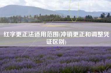 红字更正法适用范围(冲销更正和调整凭证区别)