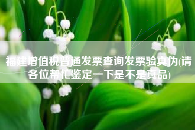 福建增值税普通发票查询发票验真伪(请各位帮忙鉴定一下是不是真品)