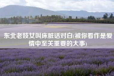 东北老妓女叫床脏话对白(被你看作是爱情中至关重要的大事)