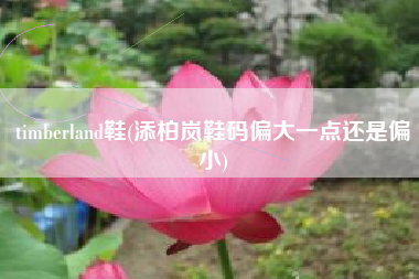详细阅读:timberland鞋(添柏岚鞋码偏大一点还是偏小) timberland鞋(添柏岚鞋码偏大一点还是偏小)