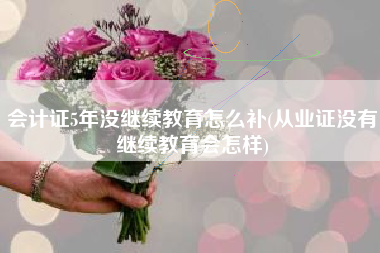 详细阅读:会计证5年没继续教育怎么补(从业证没有继续教育会怎样) 会计证5年没继续教育怎么补(从业证没有继续教育会怎样)