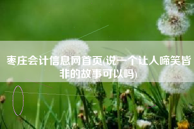 枣庄会计信息网首页(说一个让人啼笑皆非的故事可以吗)