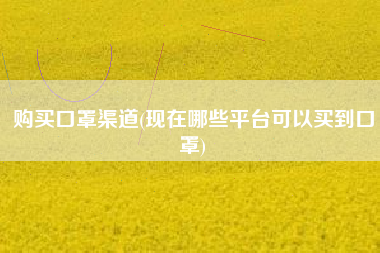 购买口罩渠道(现在哪些平台可以买到口罩)