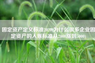 固定资产定义标准2020(为什么很多企业固定资产的入账标准从2000涨到5000)