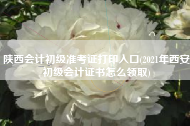 陕西会计初级准考证打印入口(2021年西安初级会计证书怎么领取)