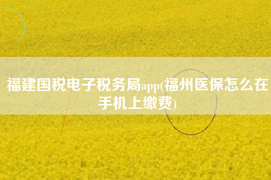 福建国税电子税务局app(福州医保怎么在手机上缴费)