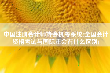 中国注册会计师协会机考系统(全国会计资格考试与国际注会有什么区别)