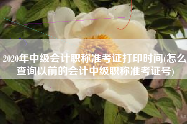 2020年中级会计职称准考证打印时间(怎么查询以前的会计中级职称准考证号)