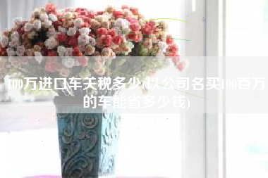 100万进口车关税多少(以公司名买100百万的车能省多少钱)