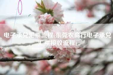 电子承兑汇票流程(东莞农商行电子承兑汇票接收流程)