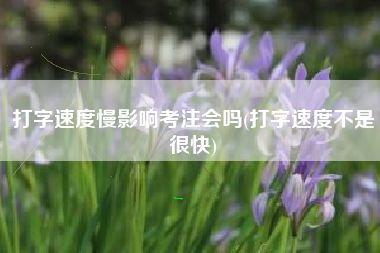 打字速度慢影响考注会吗(打字速度不是很快)