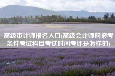 高级审计师报名入口(高级会计师的报考条件考试科目考试时间考评是怎样的)